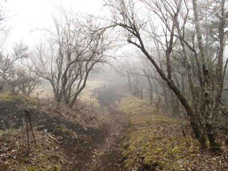 20181205hike (81)